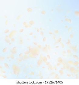 Yellow orange flower petals falling down. Mind-blowing romantic flowers gradient. Flying petal on blue sky square background. Love, romance concept. Comely wedding invitation.