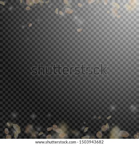 Yellow orange flower petals falling down. Ecstatic romantic flowers borders. Flying petal on transparent square background. Love, romance concept. Actual wedding invitation.