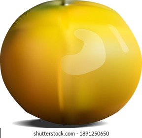 Gelbe orangefarbene Fruchtvektorgrafik.