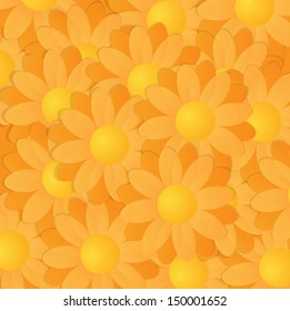 Yellow And Orange Gerberas