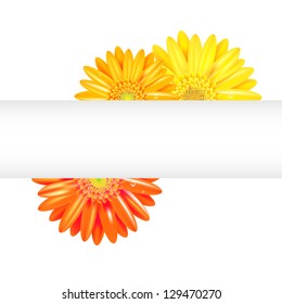 Yellow Orange Gerbers Banner Isolated On Stock Vector (Royalty Free ...