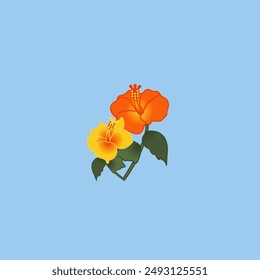 yellow and orange hibiscus flowers on a sky blue background