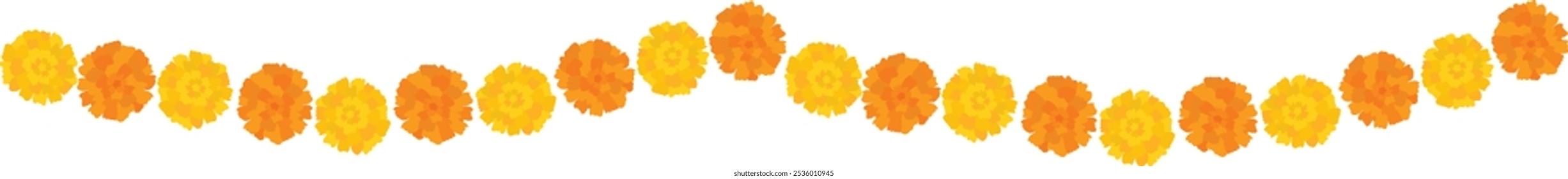 Yellow orange marigold flowers border. Indian traditional floral festive garland toran. Zendu flowers isolated on background Party decor for Halloween, Dia de los Muertos holiday. Vector illustration