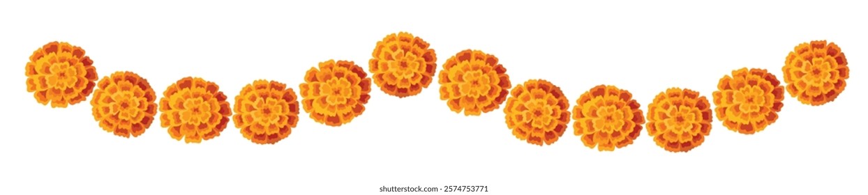 Yellow orange marigold flowers border. Indian traditional floral festive garland toran. Zendu flowers isolated on background Party decor for Halloween, Dia de los Muertos holiday. Vector illustration