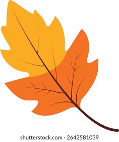 Yellow and orange oak leaf vector with smooth edges and clear veins, perfect for autumn crafts, greeting cards, invitations, posters, and Thanksgiving designs.