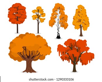 Yellow, orange and red forest trees isolated on white background. Wood tree with foliage flora illustration