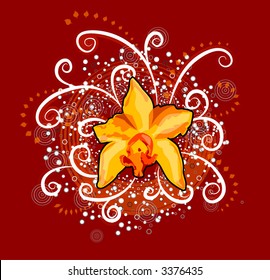 Yellow Orchid