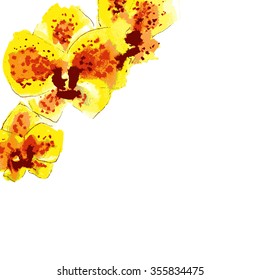 yellow orchid