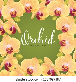 Yellow orchid flower frame on green background. Vector set of exotic tropical garden for holiday invitations, wedding, greeting card and fashion design.