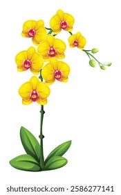 Yellow orchid flowers with vibrant petals and green leaves. Vector illustration