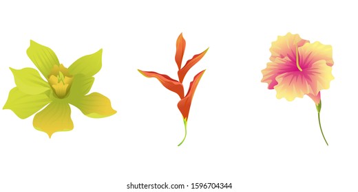 Yellow Orchid. Orange Heliconia. Yellow Hibiscus. Vector illustration. Isolated illustration element. Floral botanical flower. Wild leaf wildflower isolated. Exotic tropical hawaiian jungle.