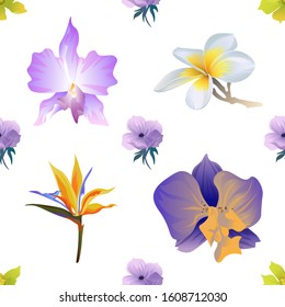 Yellow Orchid. Violet Anemone. Purple Orchid. White Plumeria. Yellow bird of paradise Strelitzia. Vector illustration. Seamless background pattern. Floral botanical flower. Wild leaf wildflower.