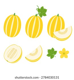 Yellow oriental melon vector illustration set with whole and sliced melons isolated on white background.