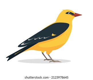 Yellow Oriole Bird. Beautiful, Bright, Exotic Golden Bird In Tropical And Subtropical Climates. Oriole Icon Isolated On White Background. Vector Illustration For Nature Design.