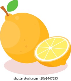 a yellow, oval citrus fruit with thick skin and fragrant, acidic juice.