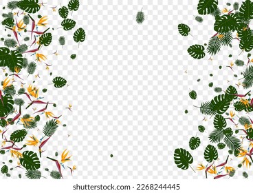 Yellow Palm Background Transparent Vector. Philodendron Spring Pattern. Light Green Leaf. Beach Card. Pink Vivid Frame.