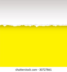 Yellow paper background with torn edge and copy space
