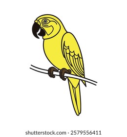 Yellow parrot line art on a branch.