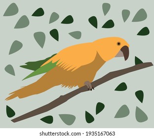 yellow parrot on a branch