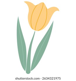 yellow pastel flowers elements for decoration on transparent background