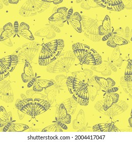 Yellow pattern from gray beautiful butterflies. Insects seamless pattern. Vector illustration