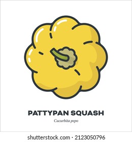 Yellow pattypan squash, custard squash  or Patisson vegetable icon, outline with color fill style vector illustration