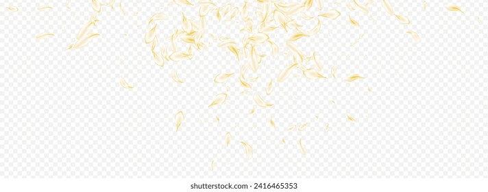Yellow Peach Beauty Vector Panoramic Transparent Background. Beige Tender Cherry Illustration. Delicate Blossom Spring Frame. White Lotus Fall Wallpaper. Summer Flower Design.