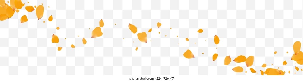Yellow Peach Falling Vector Transparent Panoramic Background. Fall Flower Frame. Beautiful Narcissus Flying Wallpaper. Delicate Tulip Spring Banner.