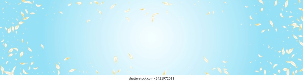 Yellow Peach Japan Vector Panoramic Blue Background. White Summer Petal Frame. Beige Rose Blur Poster. Gold Sakura Fall Banner. Beauty Lotus Texture.