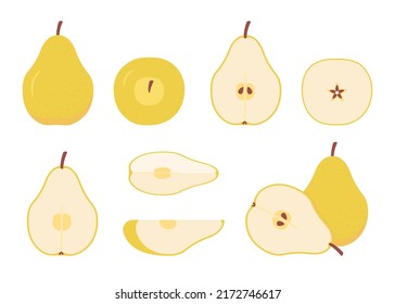 Yellow pear food whole, cut half, piece, part and slice chopped of fruit. Harvest ripe fruit. Popular healthy garden food pear. Vector flat illustration