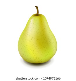 Yellow Pear Isolated With Gradient Mesh, Vector Illustration
