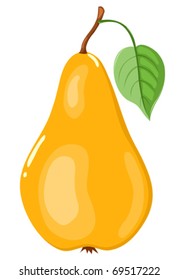 The yellow pear. Isolated on white. Vector illustration.