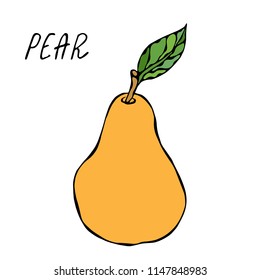 Yellow Pear and Leaf. Fresh Fruit Nutrition Diet. Autumn or Fall Vegetable Harvest Collection. Realistic Hand Drawn High Quality Vector Illustration. Doodle Style.