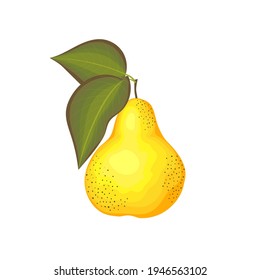 Yellow pear with leaves. Color illustration.