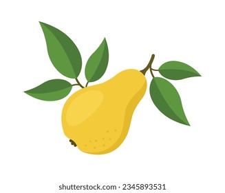 Yellow pear on a branch with leaves, eps 10 format