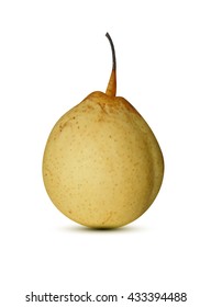 Yellow pear. Realistic vector image on a white background.