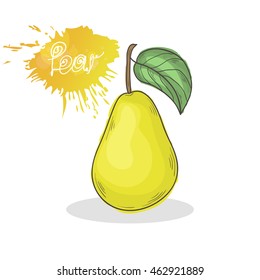 Yellow Pear vector illustration isolated on a white background.Summer fruit  icon hand draw in doodle style with shadow