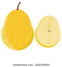 Colección de peras amarillas. Se ofrecen rebanadas dulces, frutas enteras y medias peras. Vector aislado sobre fondo blanco.