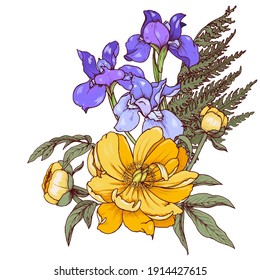 Gelbe Pföne und blaue Reisen, Zusammensetzung von Gartenblumen auf weißem Hintergrund, Vektorgrafik