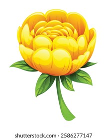 Yellow peony flower with soft petals and green leaves. Vector cartoon illustration