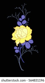 Yellow peony rose flower with branches for decorate. Illustration on black background. Can be used for decorate postcards, decorate t-shorts, tunics, bags.