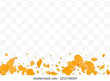 Yellow Peony Tender Vector Transparent Background. Blur Rose Backdrop. Delicate Peach Flying Banner. Beautiful Floral Beauty Illustration.