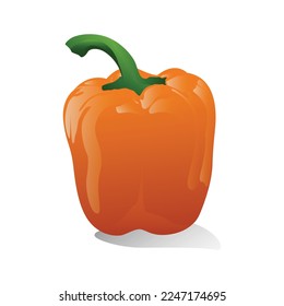 Pimientos de naranja recién hechos en 3D con un estilo sencillo. Ilustración del vector de imagen de cliente.