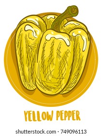 Yellow Pepper Colorful Vegetables Vector Doodle Sketch Illustration
