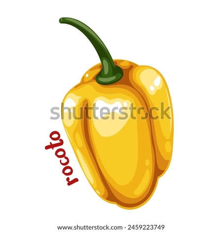 Yellow pepper with Rocoto text, cartoon spice label. Extremely hot bell pepper for spicy sauces, cartoon natural vegetable ingredient badge for Mexican food and typography patch vector illustration