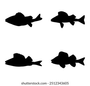 Silueta de perca amarilla Arte vectorial fondo blanco