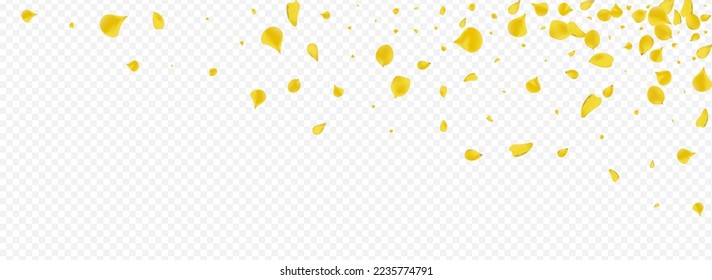 Yellow Petal Beauty Vector Panoramic Transparent Background. Japan Peach Cover. Amber Flower Spring Template. Gold Rose Blur Backdrop.