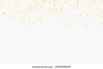 Yellow Petal Falling Vector Transparent Background. White Flying Blossom Banner. Gold Sakura Japan Pattern. Light Cherry Tender Poster. Japanese Rose Design.