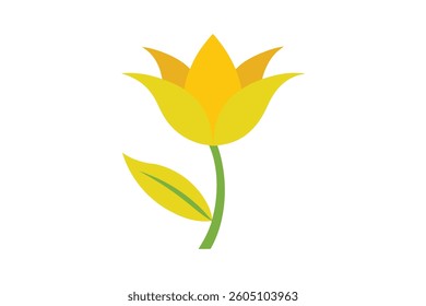 Yellow Petal Plant Isolated on White
