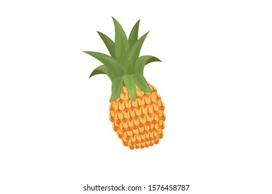 A yellow pineapple with fresh green leaves vector illustration